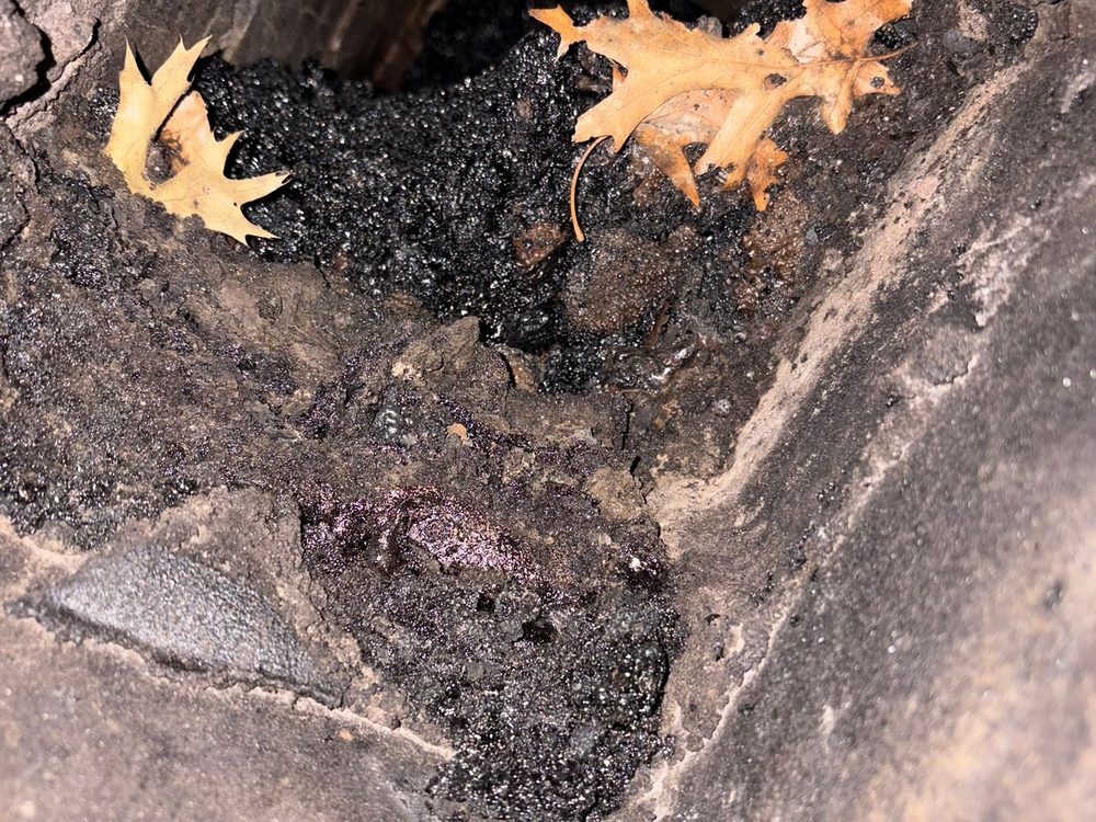 Dry leaves and creosote sitting
               inside an uncapped chimney flue