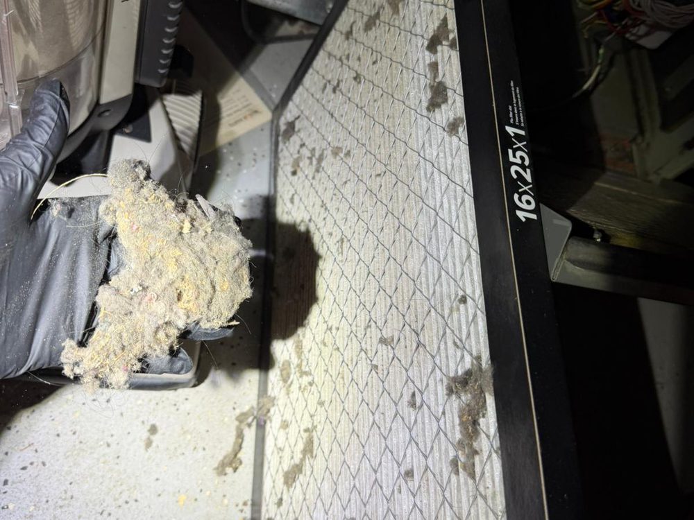 A heavily soiled furnace filter being pulled
               from its frame
